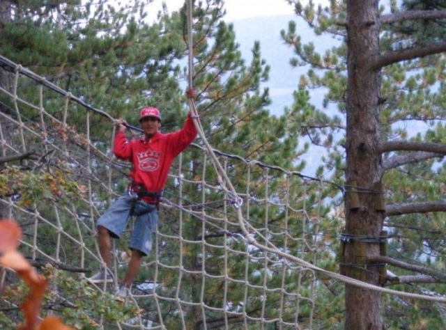 Aventure en hauteur type acrobranche